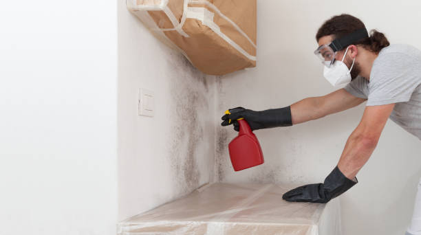 Professional Mold Inspection And Testing technician working in Fairview, NJ